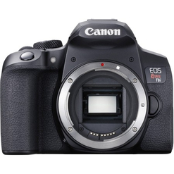 imagem de Canon EOS T8i (Corpo) - Canon