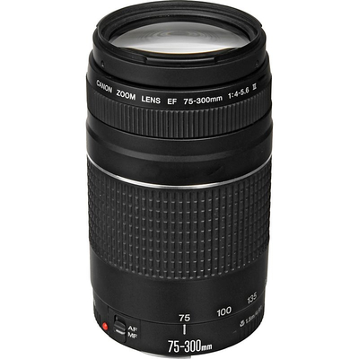 imagem do produto Lente Canon EF 75 300mm f 4 5.6 III - Canon