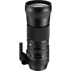 imagem de Lente Sigma 150-600mm f/5-6.3 DG OS HSM (Canon) - Canon