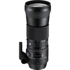 imagem de Lente Sigma 150-600mm f/5-6.3 DG OS HSM (Nikon) - Sigma