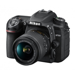 imagem de Nikon D7500 + AFP DX 18 55mm f/3.5 5.6G VR - Nikon