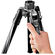 imagem do produto Trip Manfrotto Befree Advanced + Cabea Ball Head  - Manfrotto